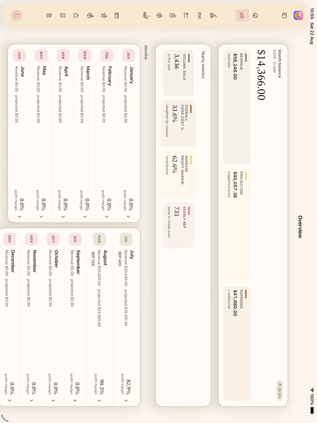 The Overview screen in Receitório on iPad with the month's balance, yearly figures and history